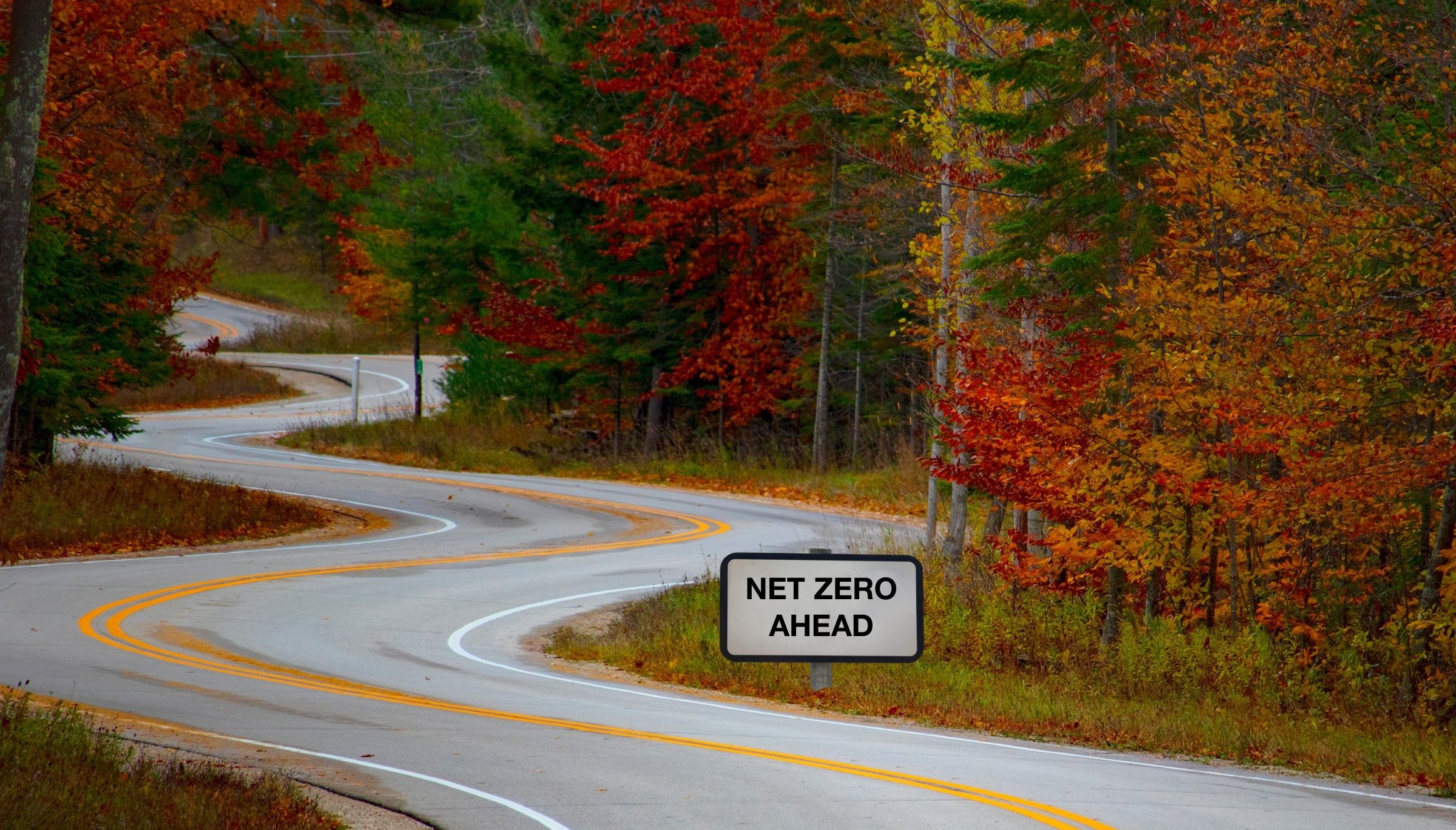 road to net zero